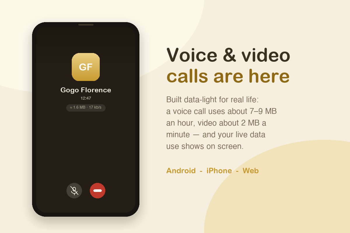 Voice and video calls — data-light, with live data use on screen